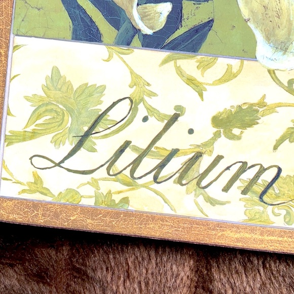 Pimpernel Set of 6 Lily-Themed Placemats Cork Back - Picture 5 of 7